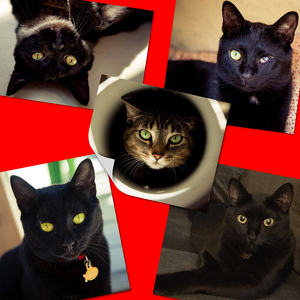 Fundraising Page: DeeAnn Smith